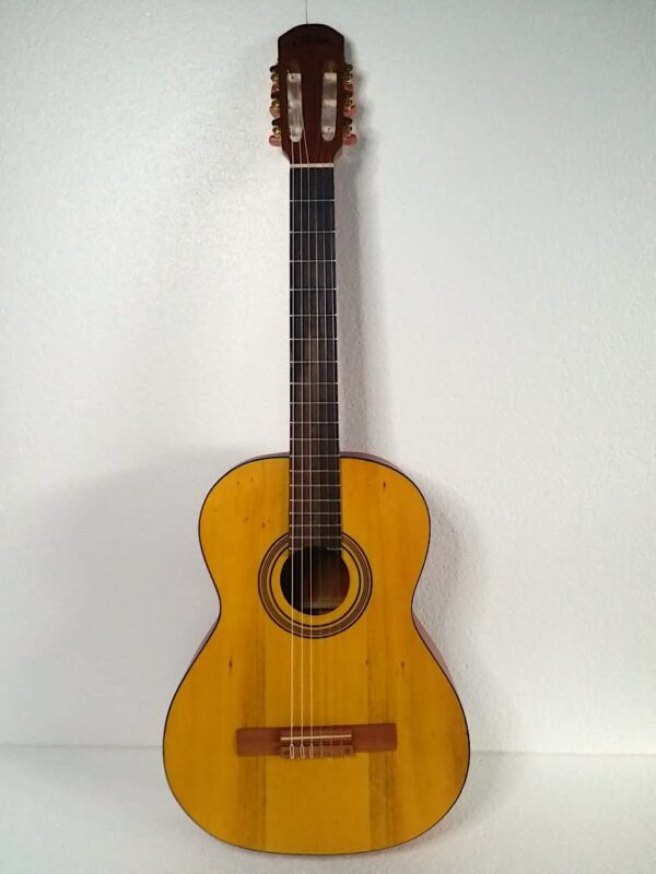 Guitarra acústica cuerda nylon