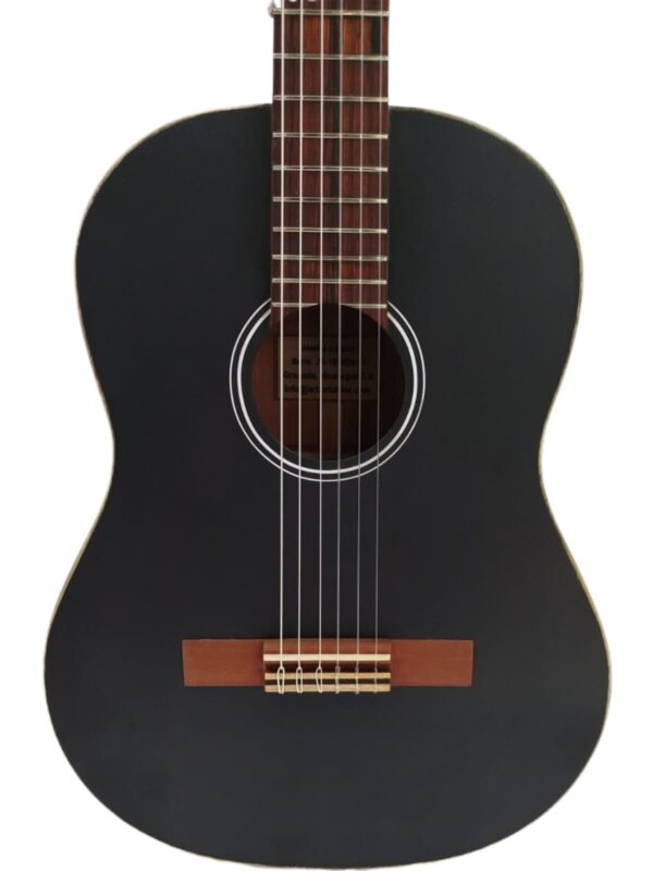 Guitarra acústica cuerda nylon