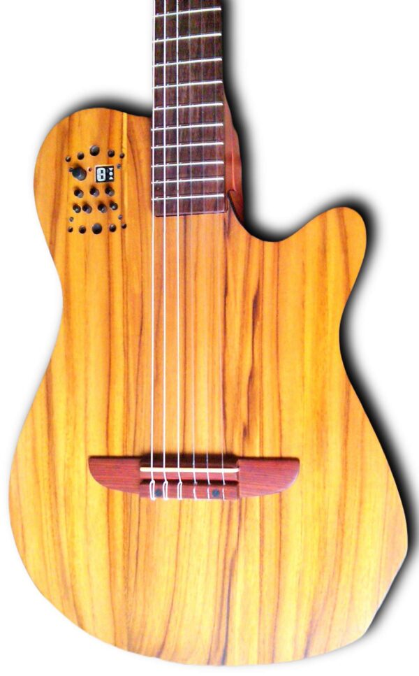 Guitarra estilo godin